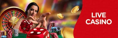 gambling app Bingo